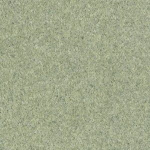 Airedale Herb Garden Wool-Blend Twist Carpet, close-up of the carpet texture