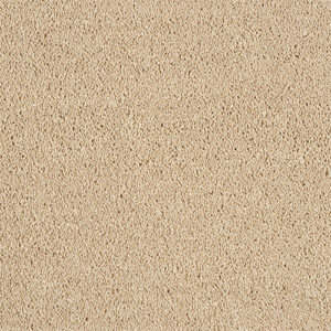 Linden Toffee Beige Deep-Pile Carpet, close-up of the carpet texture