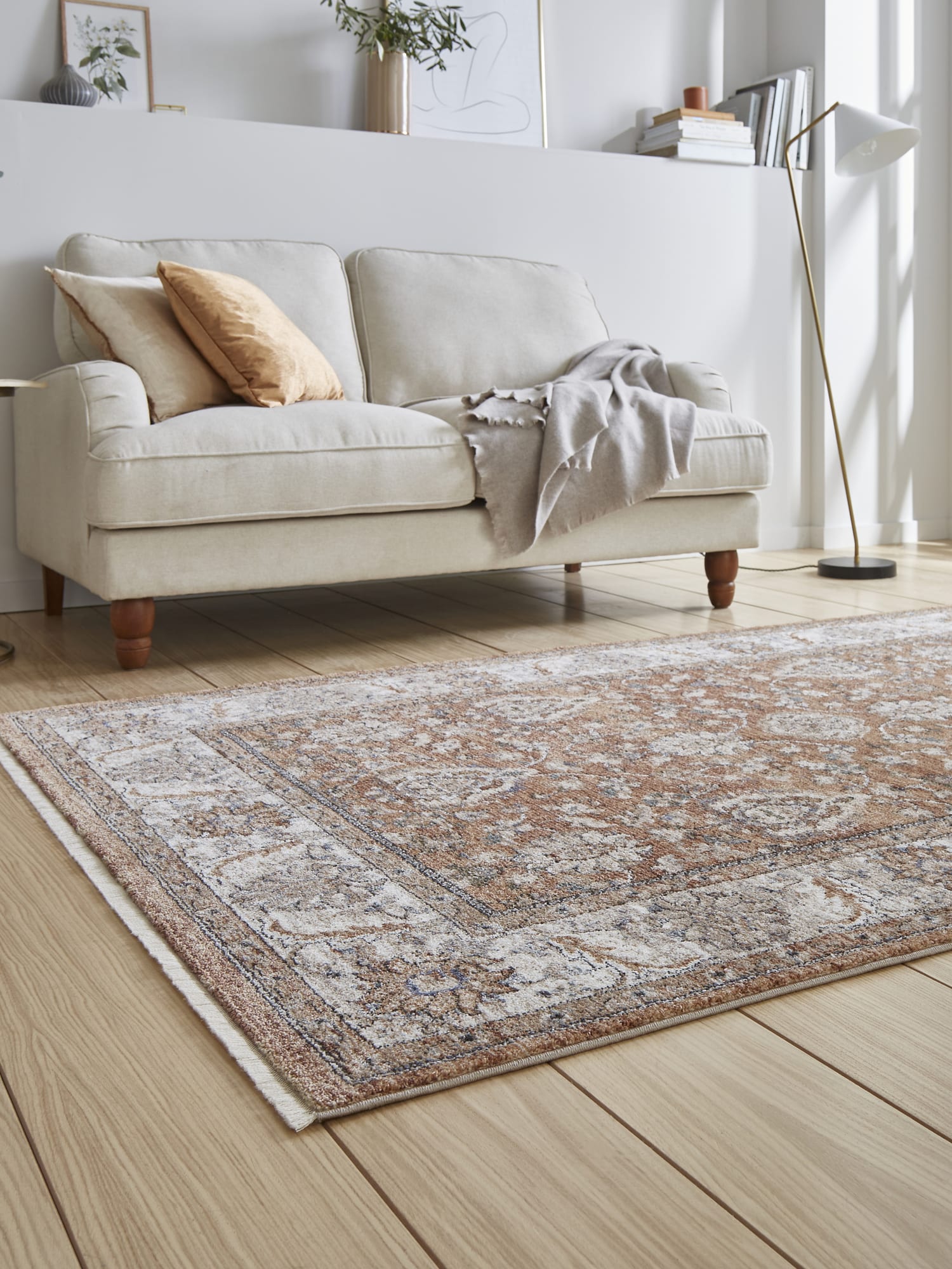 Vintage Ornamental rectangular rug in terracotta, at a low angle in front of a pale sofa.